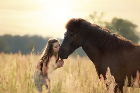 Pferdeshooting im Sonnenuntergang